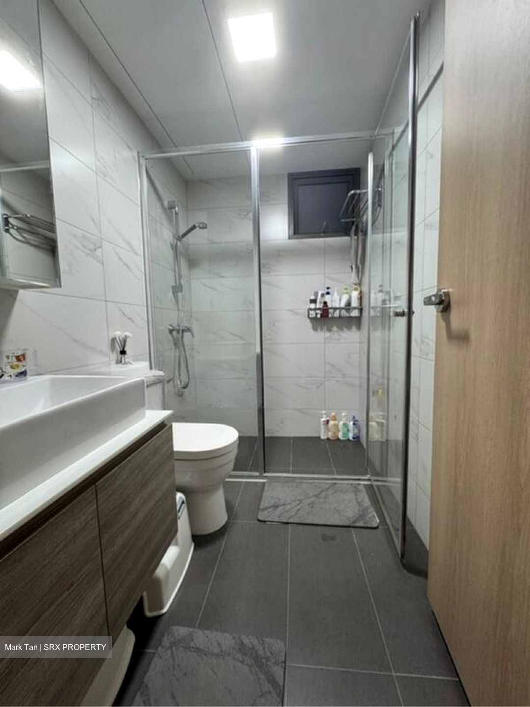 Treasure Crest (D19), Condominium #498658901